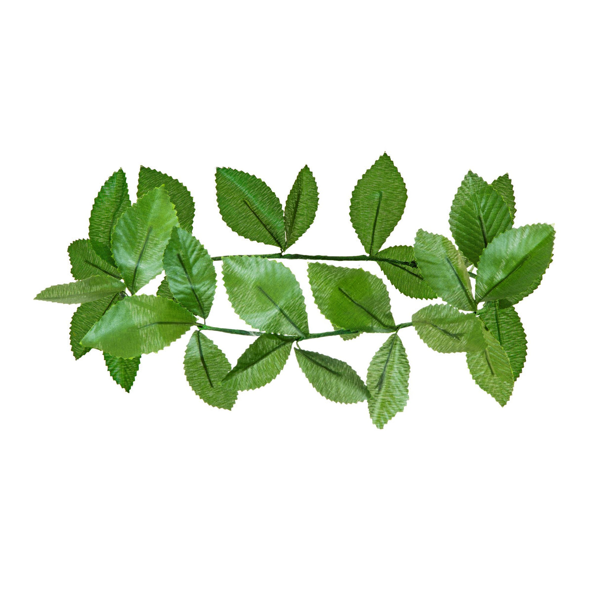 "GRÜNER LORBEERKRANZ" – Vorderansicht
