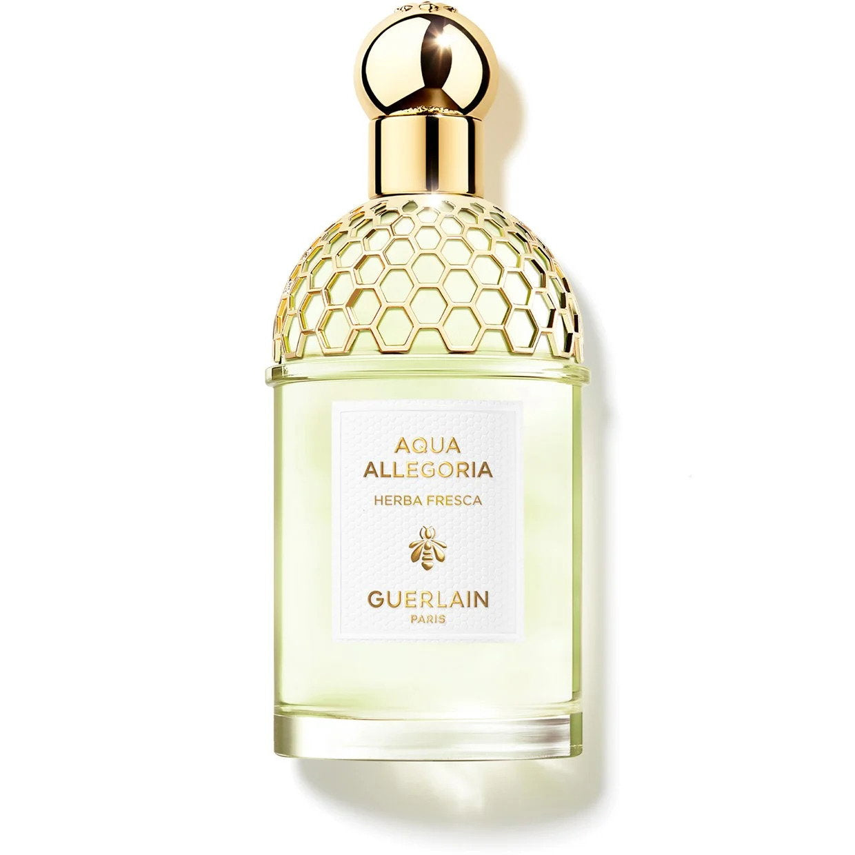 Guerlain, Aqua Allegoria Herba Fresca, Eau de Toilette, Für Frauen, 100 ml *Tester