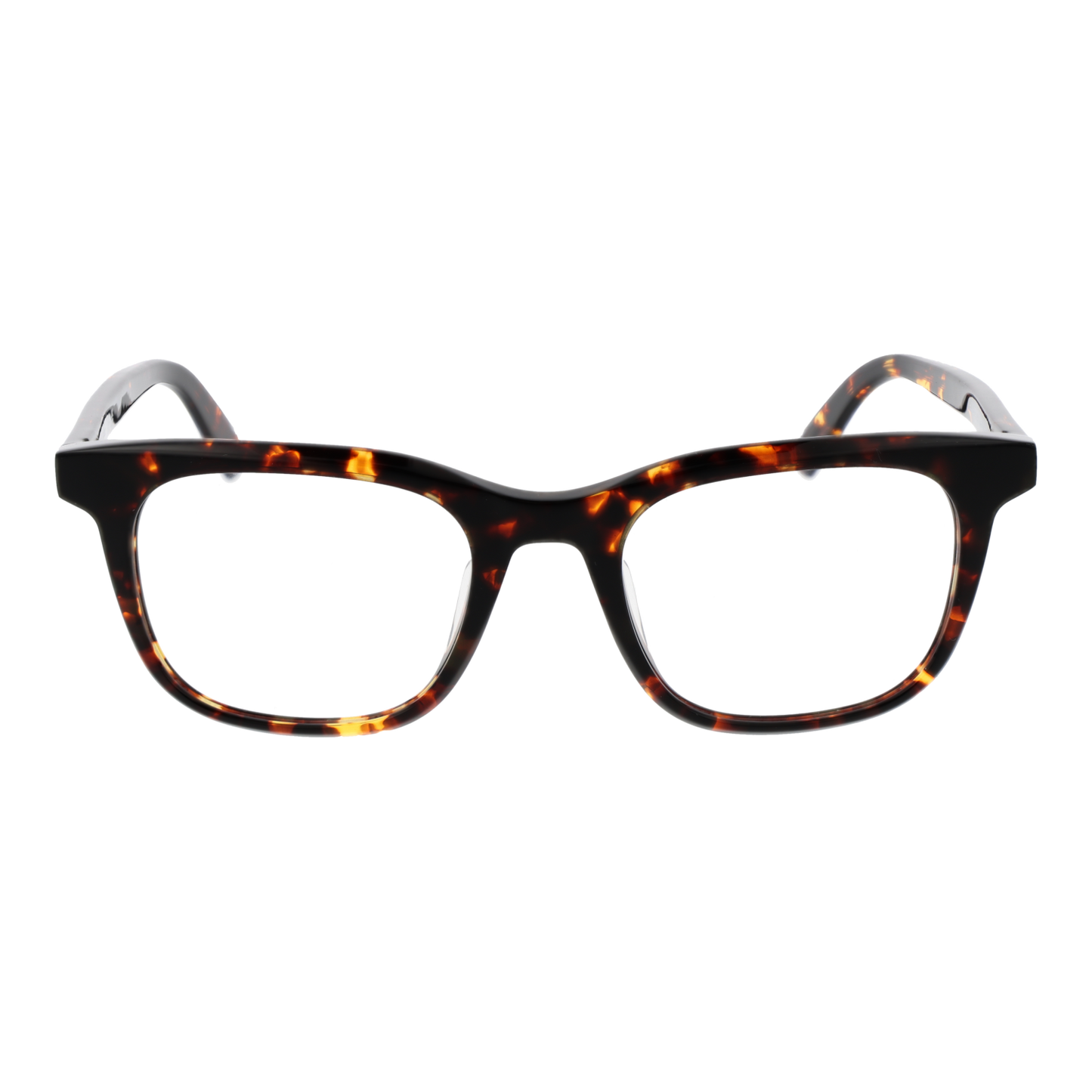 GUESS EYEWEAR GU50092-H 50052 Sonnenbrille