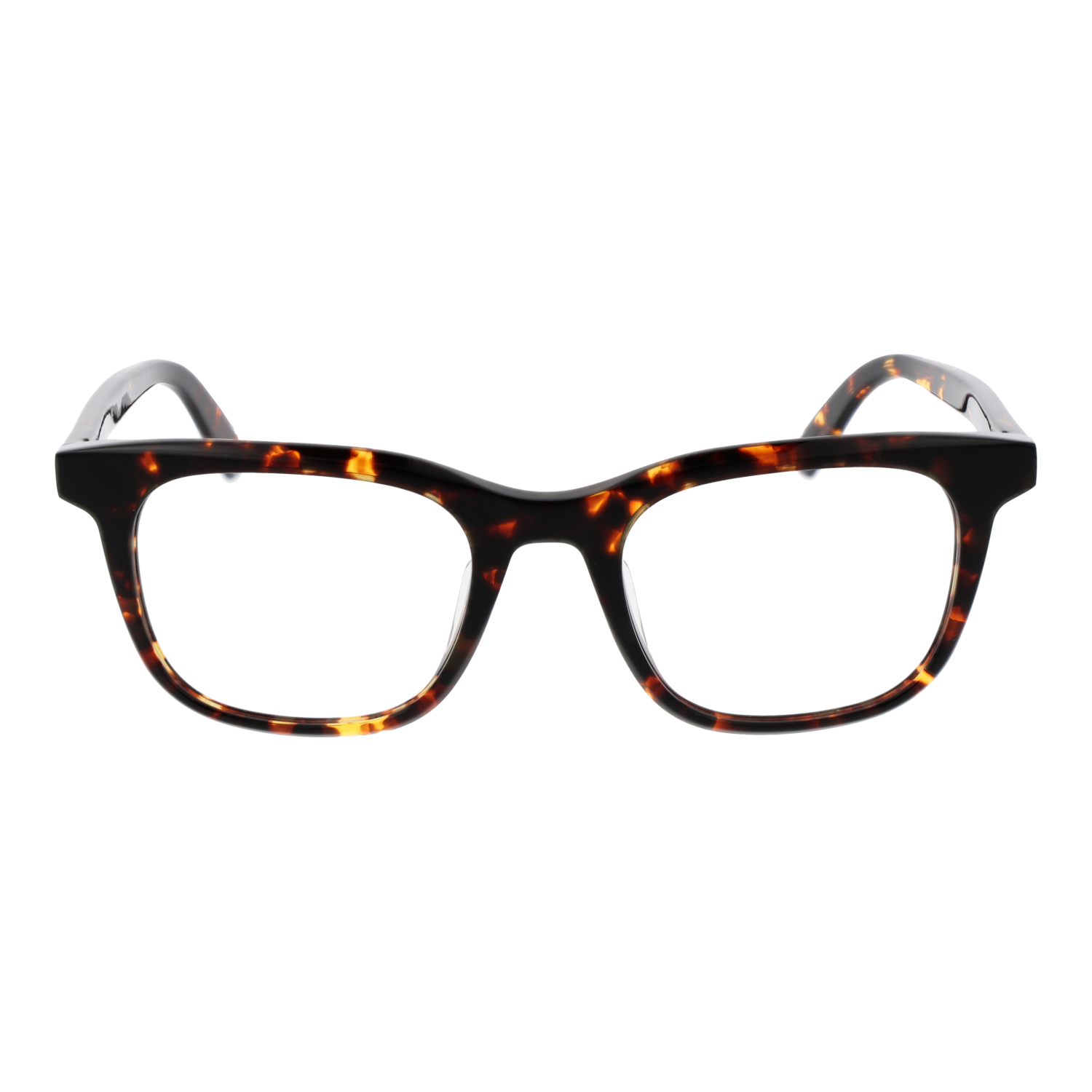 GUESS EYEWEAR GU50092-H 50052 Sonnenbrille
