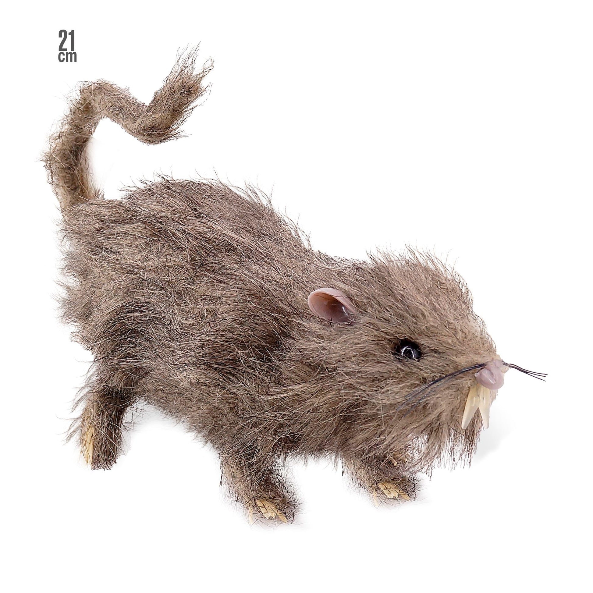 "HAARIGE RATTE" 21 cm – Vorderansicht