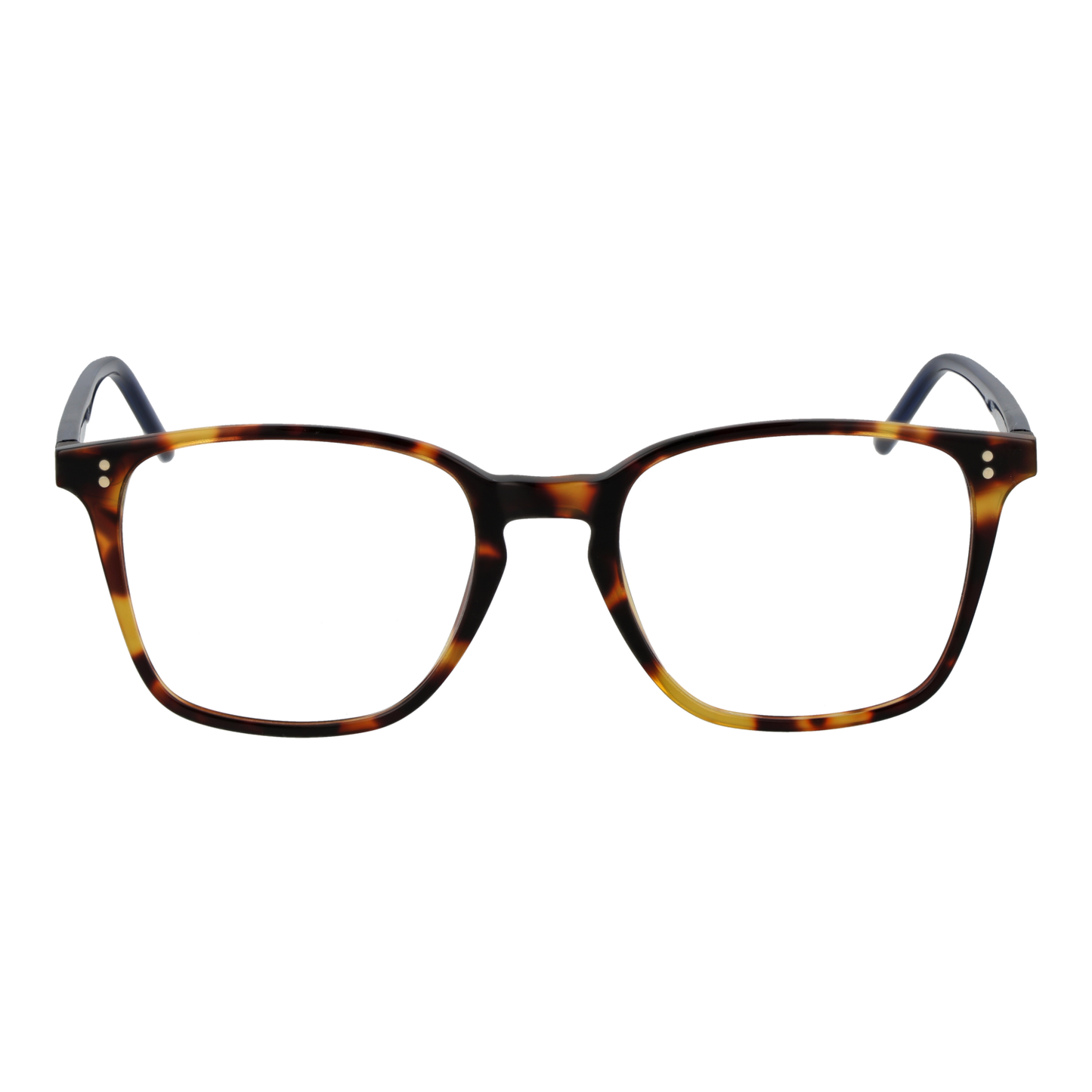 HACKETT EYEWEAR HEB310 51234 Sonnenbrille