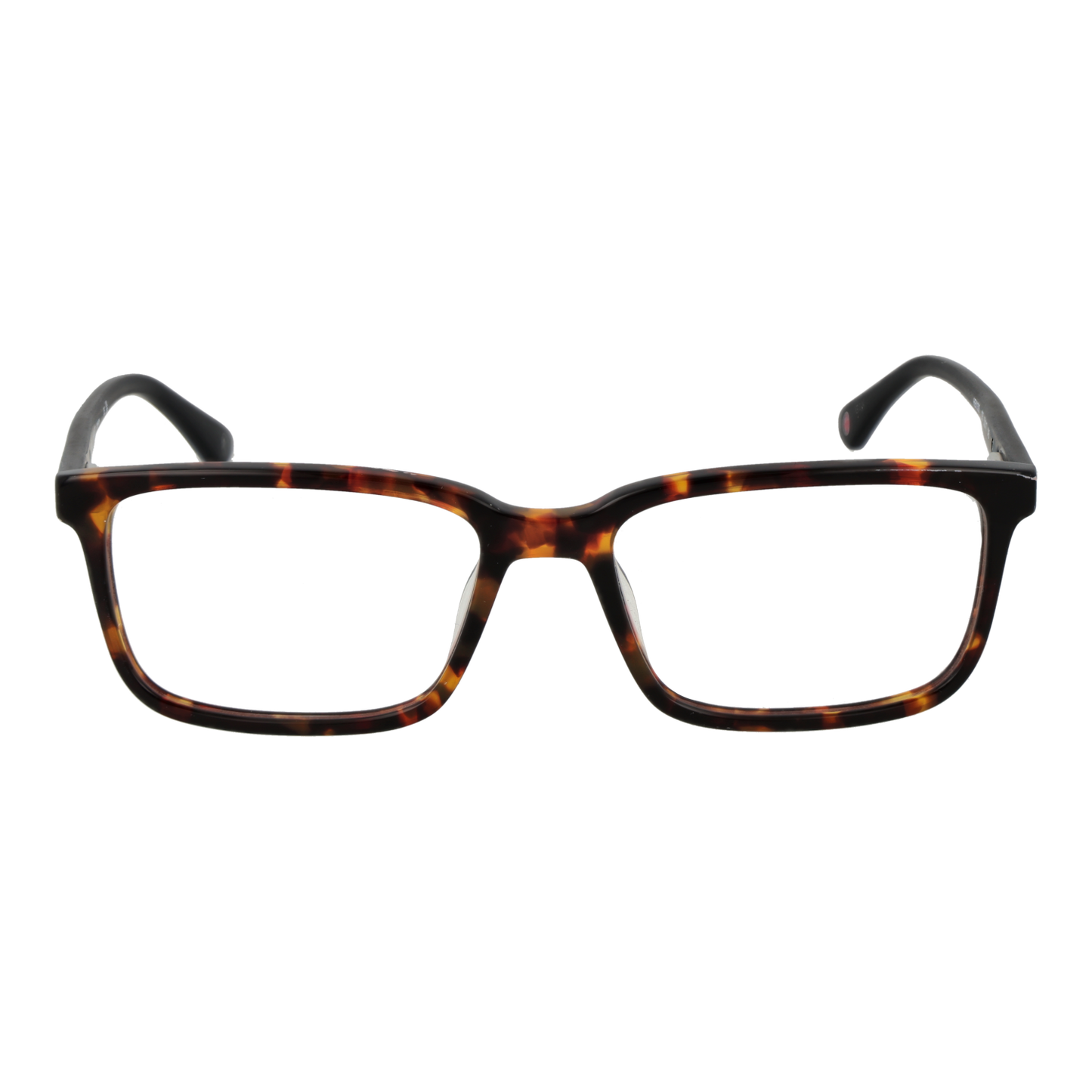 HACKETT EYEWEAR HEK1303 53193 Sonnenbrille