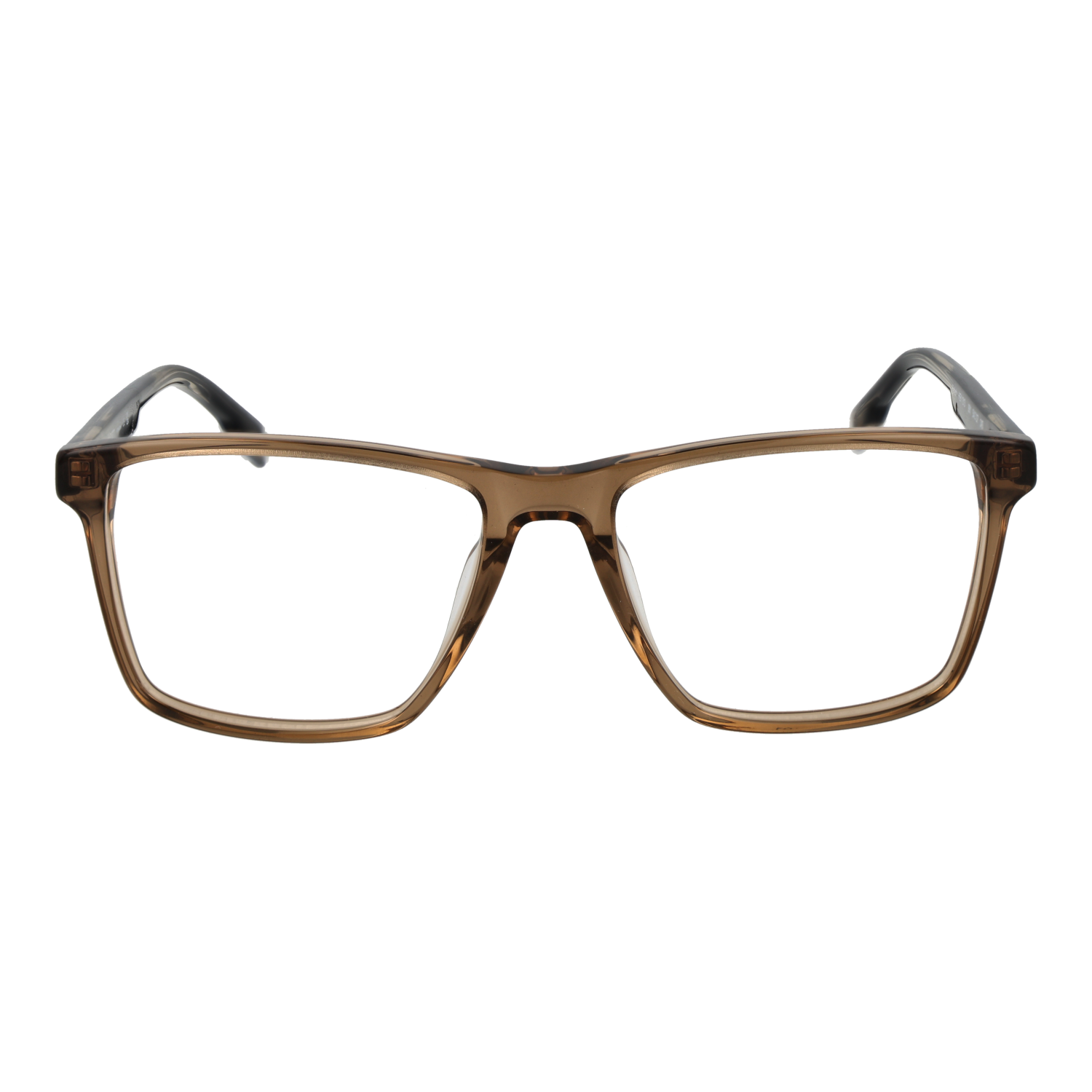 HACKETT EYEWEAR HEK1313 54991 Sonnenbrille