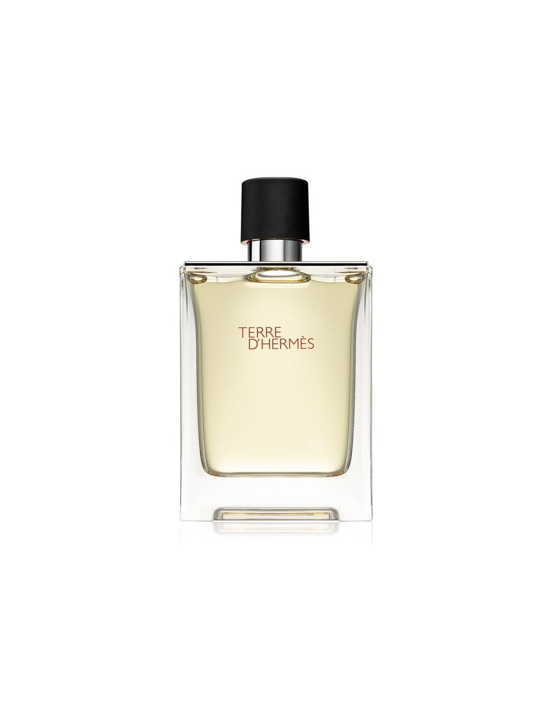 Hermes, Terre d'Hermes, Eau de Toilette, Für Männer, 100 ml