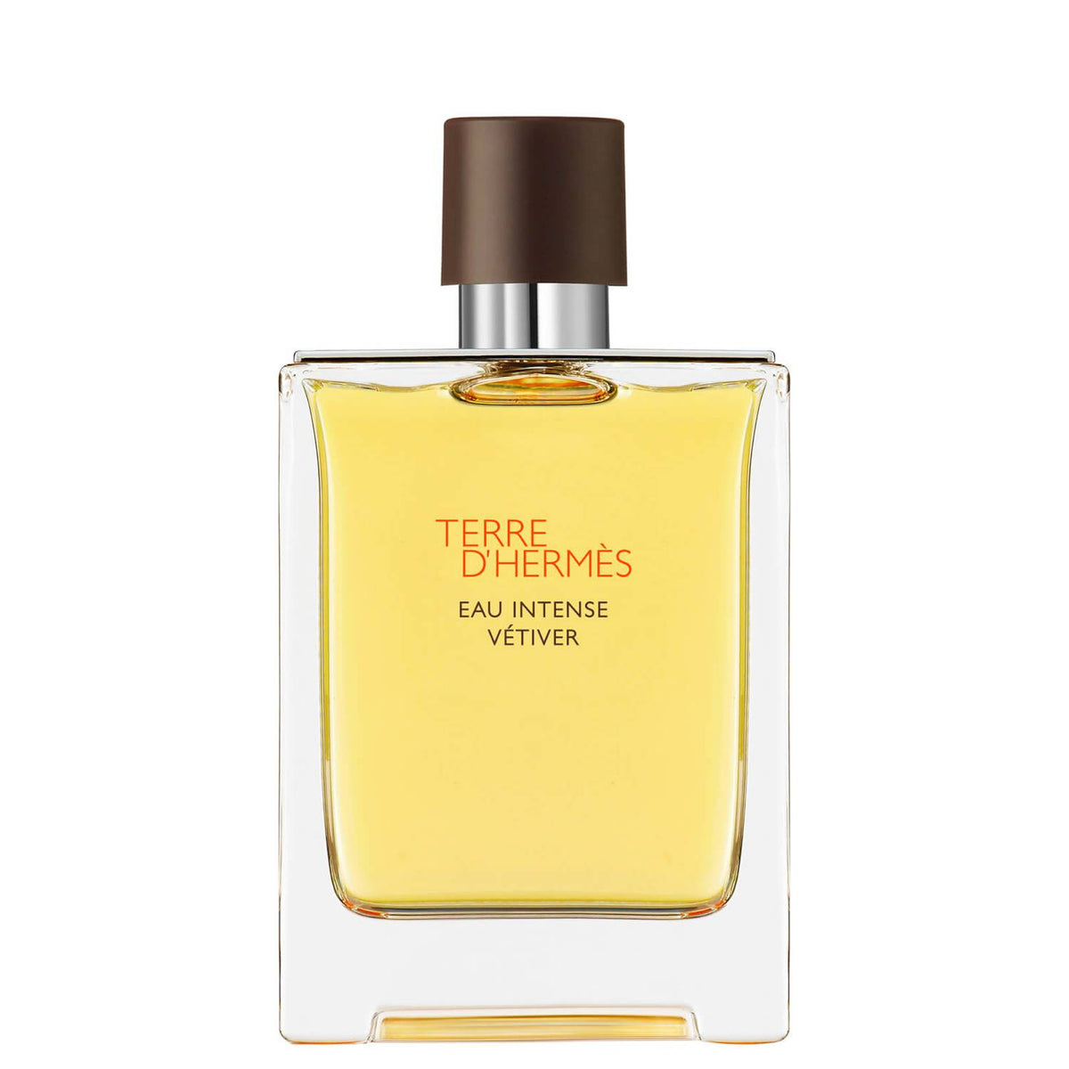 Hermes, Terre d'Hermes Eau Intense Vetiver, Eau de Parfum, Für Männer, 100 ml