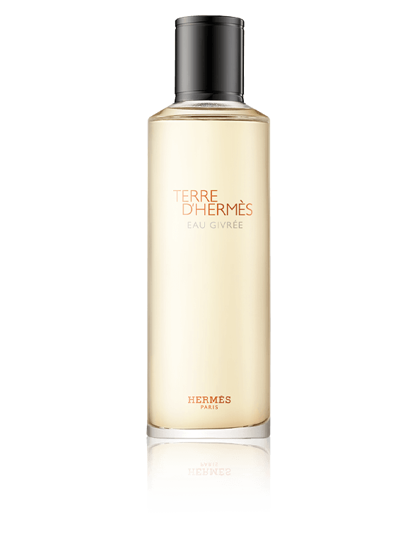 HERMÈS Terre d’Hermès Eau Givrée Eau de Parfum 200 ml Nachfüllung