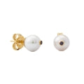 MAJORICA JEWELRY Mod. 17355.01.1.E00.906.1