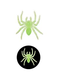 Fasnacht24.ch 24 weisse Glow-in-the-Dark-Spinnen für Halloween-Dekoration, je 5 x 5 cm – Produktansicht