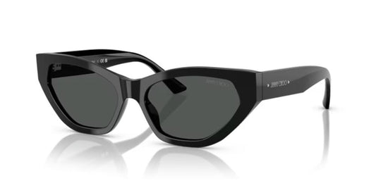 JIMMY CHOO JC 5022B JC 5022B_500087_55 Sonnenbrille ansicht-2
