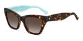 KATE SPADE SUNGLASSES FAY_G_S_086-HA_54 Sonnenbrille ansicht-3