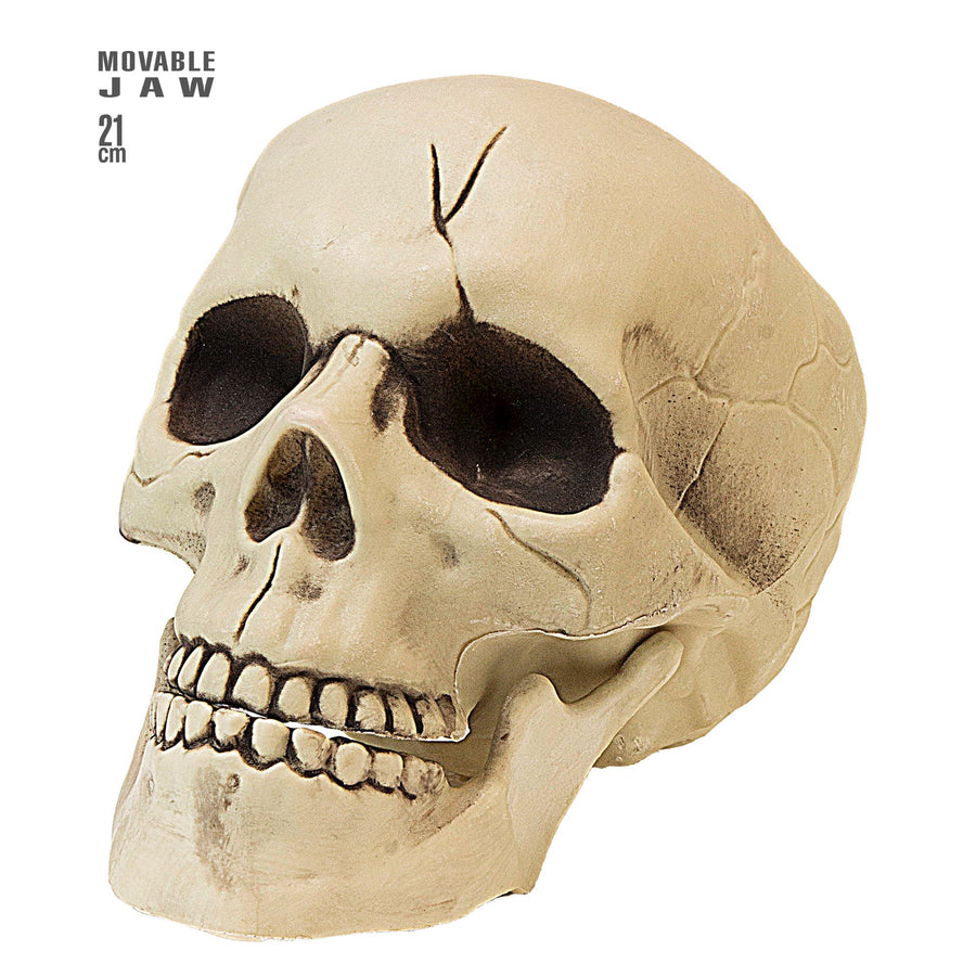 "KUNSTSTOFF TOTENKOPF MIT BEWEGLICHEM GEBISS" 21 cm – Vorderansicht