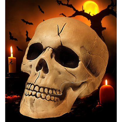 "KUNSTSTOFF TOTENKOPF MIT BEWEGLICHEM GEBISS" 21 cm – Ansicht 4