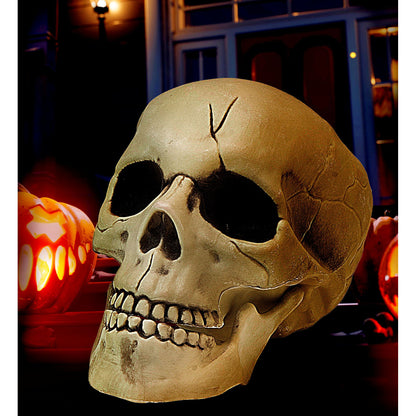 "KUNSTSTOFF TOTENKOPF MIT BEWEGLICHEM GEBISS" 21 cm – Ansicht 6