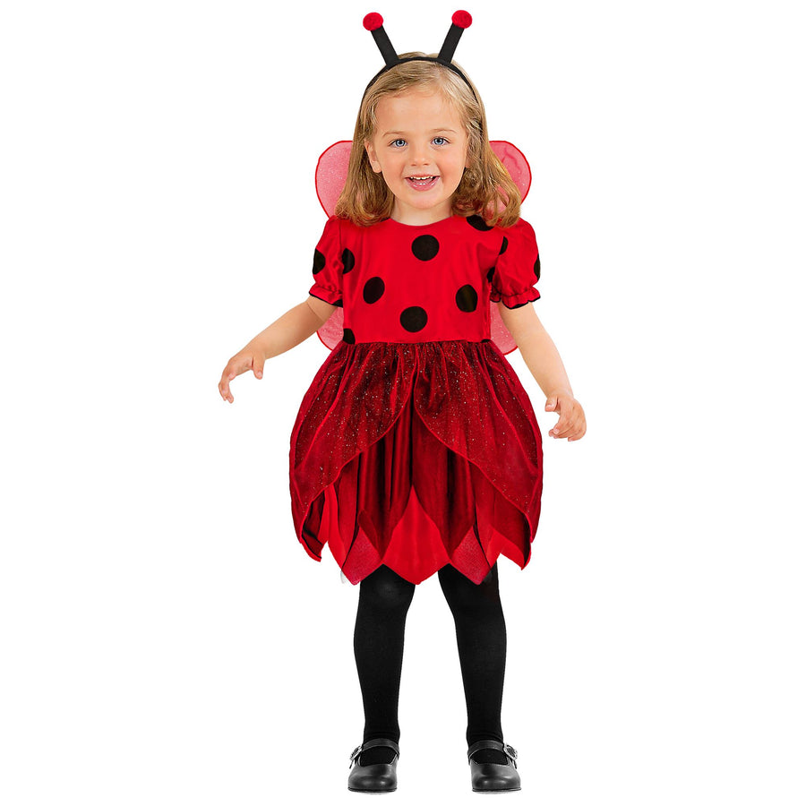 "MARIENKÄFER" (Kleid, Flügel, Antennen) – Vorderansicht