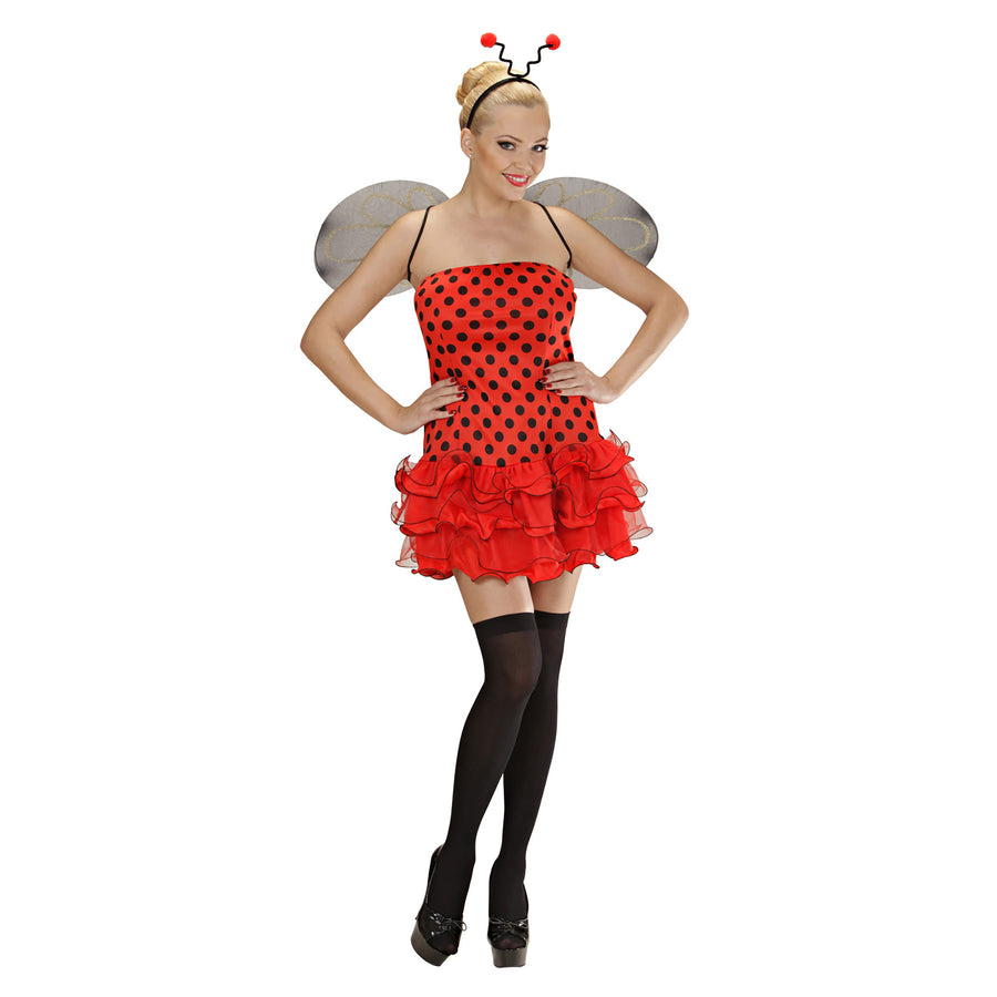 "MARIENKÄFER" (Kleid, Flügel, Antennen) – Vorderansicht