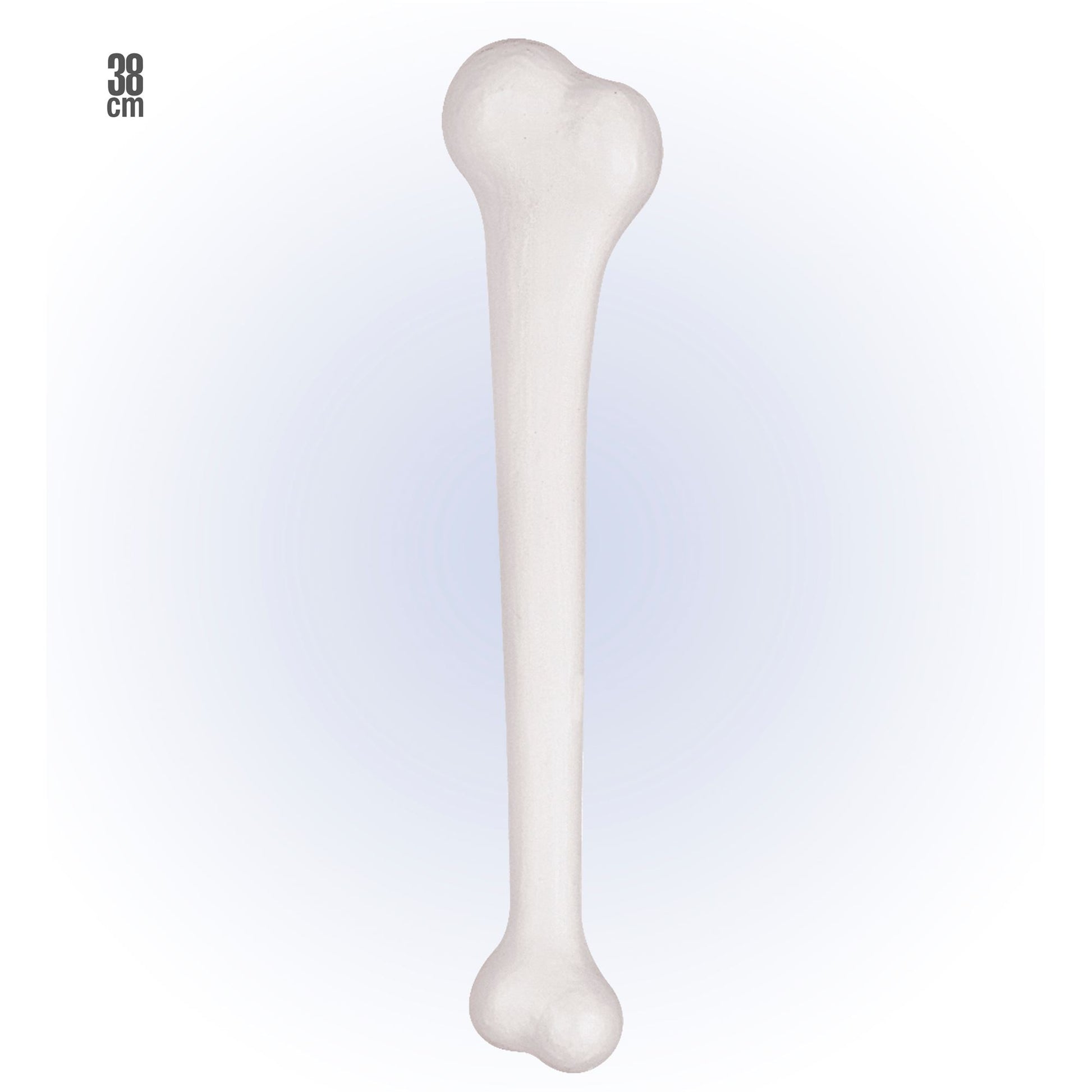"MAXI KNOCHEN" 38 cm – Vorderansicht