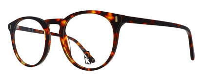 OK EYEWEAR OK1806-334-50 Sonnenbrille ansicht-3