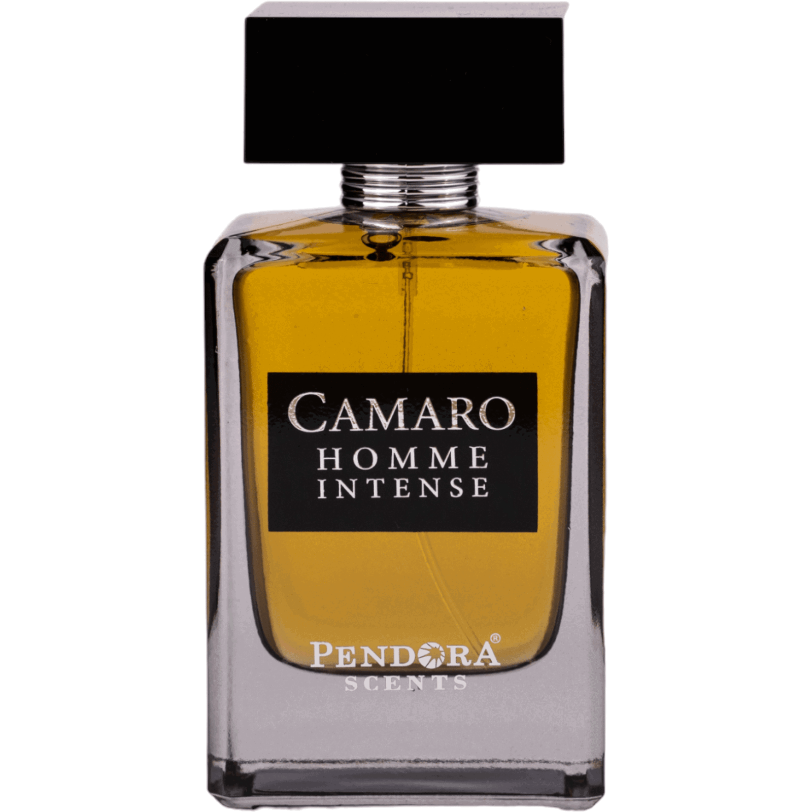 Pendora Scents Pendora Scents, Camaro Homme Intense, Eau de Parfum, Für Männer, 100 ml Regular