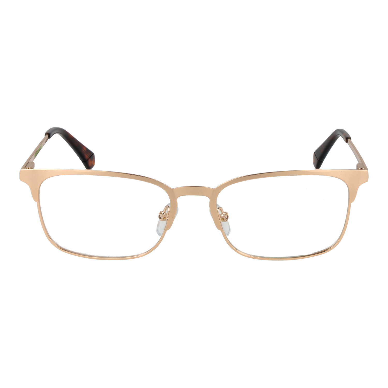 POLAROID FRAME PLD D441 54J5G17 Sonnenbrille