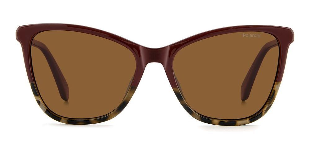 POLAROID SUNGLASSES PLD 4194_S_YDC-SP_55 Sonnenbrille