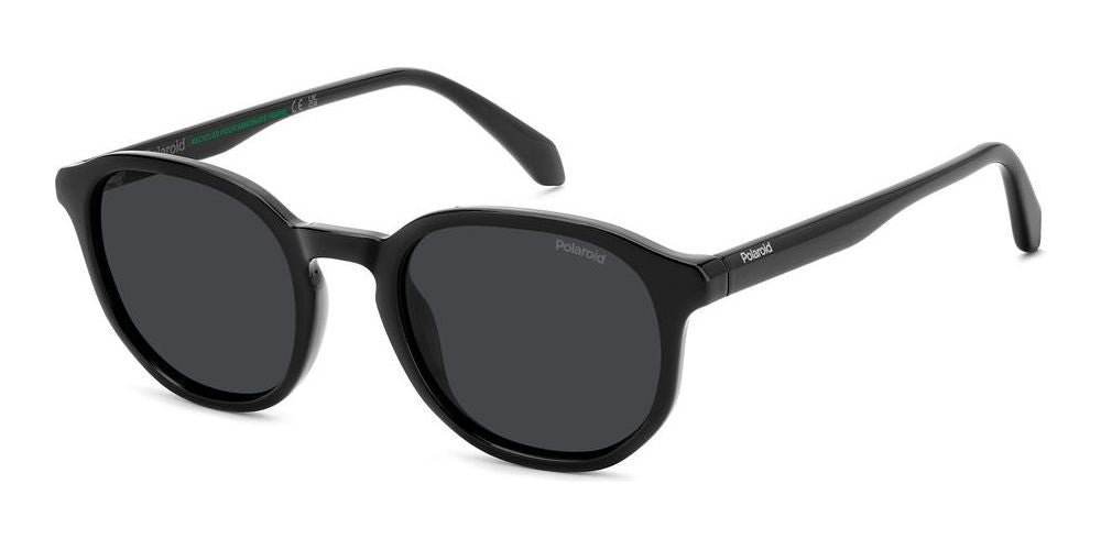 POLAROID SUNGLASSES PLD 4195_S_807-M9_51 Sonnenbrille ansicht-2
