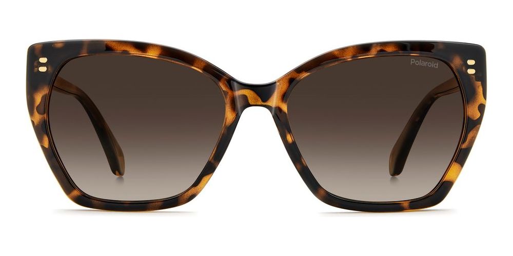 POLAROID SUNGLASSES PLD 4198_S_X_086-LA_56 Sonnenbrille