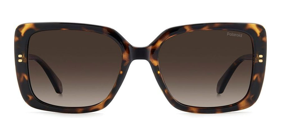 POLAROID SUNGLASSES PLD 4199_S_X_086-LA_55 Sonnenbrille