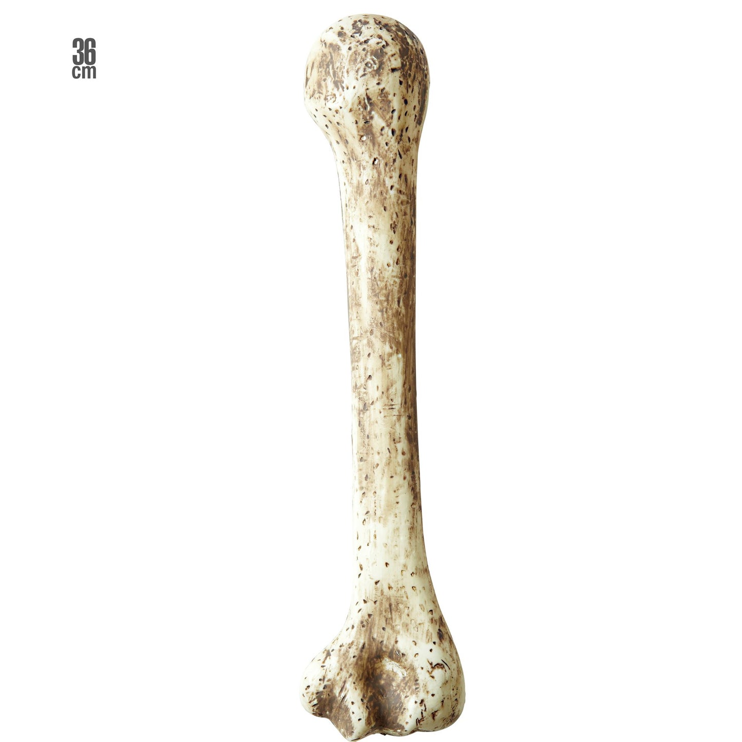 "PREHISTORISCHE KNOCHEN" 36 cm – Vorderansicht