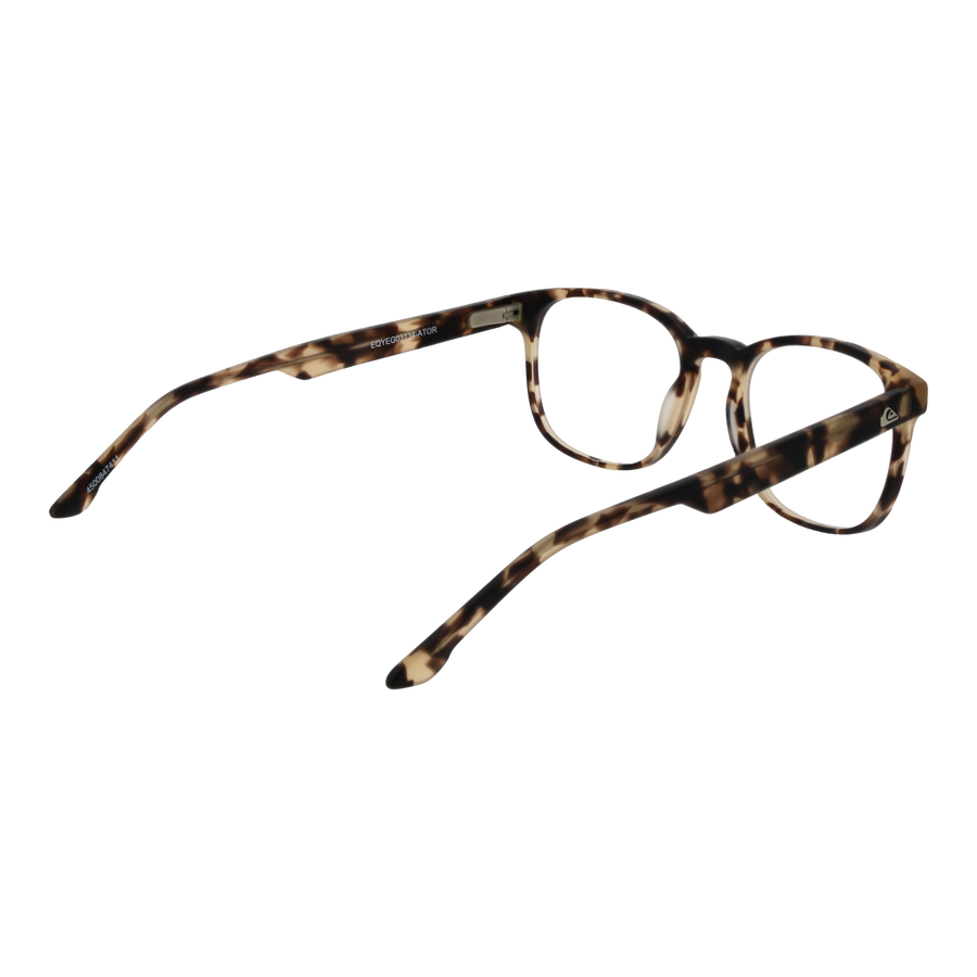 QUIKSILVER EYEWEAR EQYEG03134 ATOR Sonnenbrille Silber ansicht-2