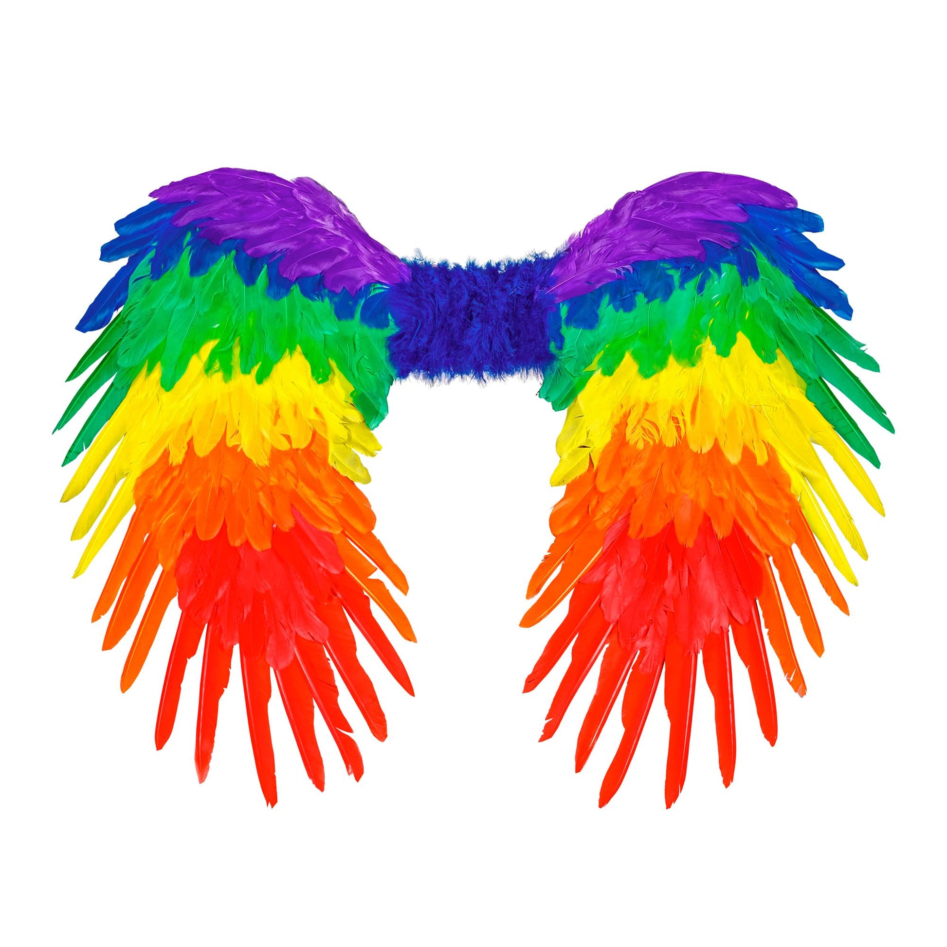 "REGENBOGEN FALTBARE FEDERFLÜGEL" 80x60 cm – Vorderansicht