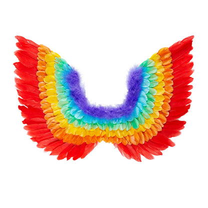 "REGENBOGEN FEDERFLÜGEL" 60x40 cm – Vorderansicht