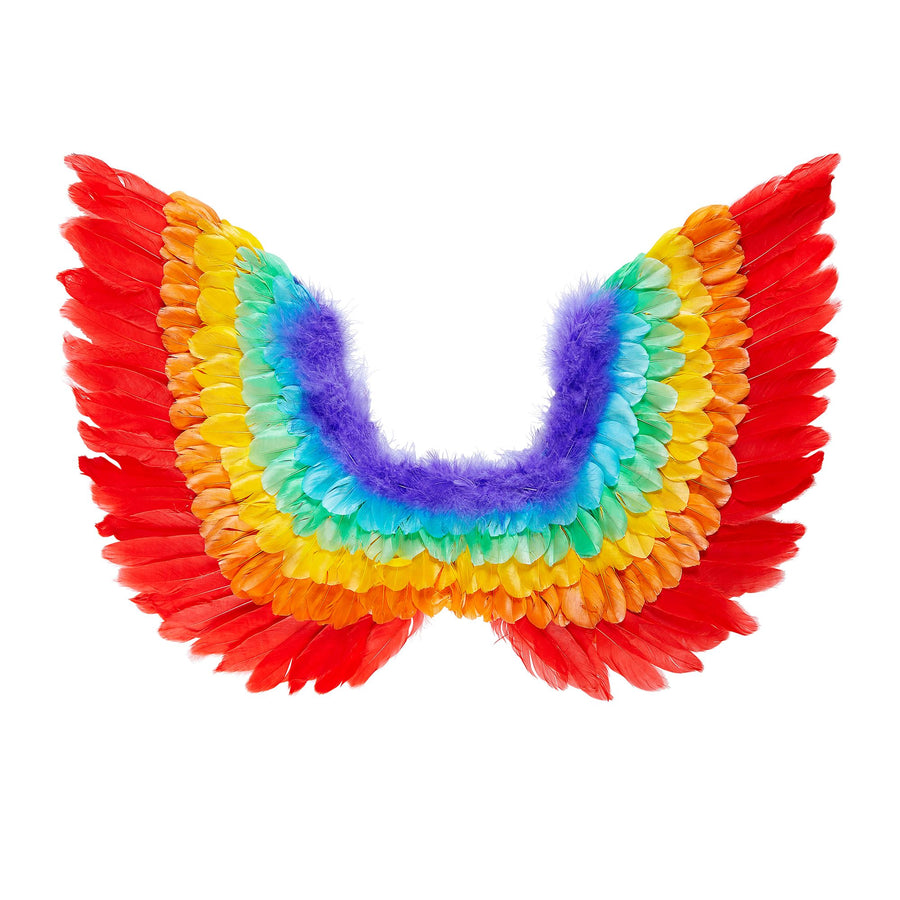 "REGENBOGEN FEDERFLÜGEL" 60x40 cm – Vorderansicht