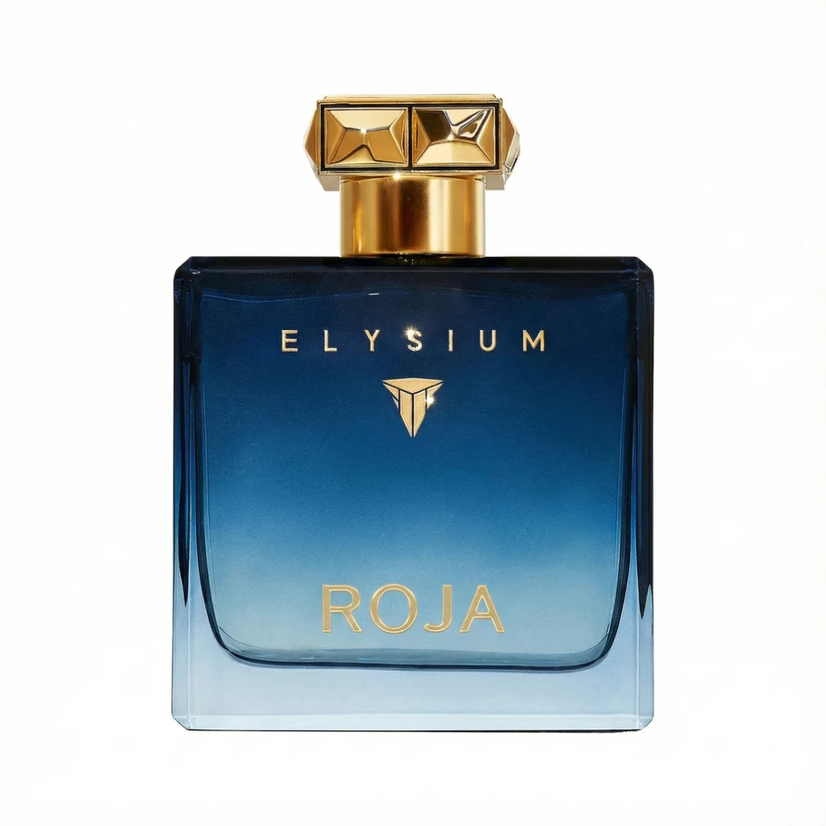 ROJA PARFUMS ELYSIUM HOMME EDP 100 ML