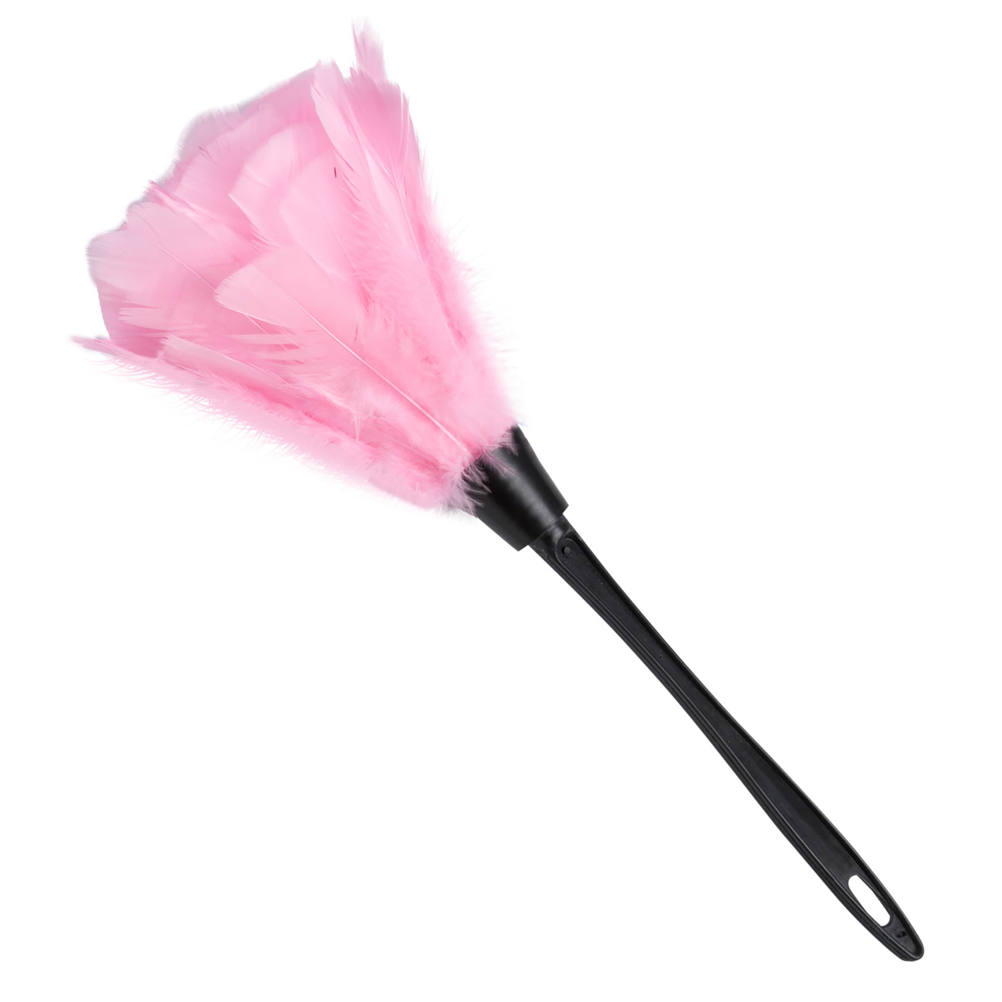 "ROSA STAUBWEDEL" – Vorderansicht