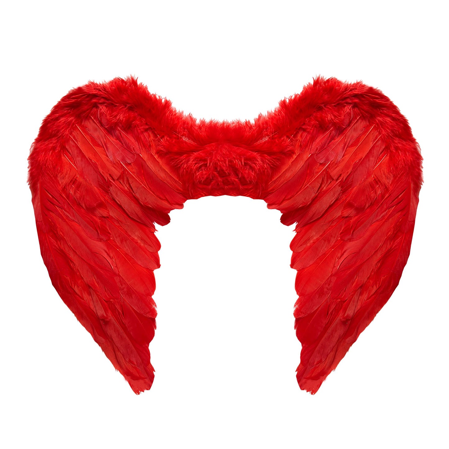 "ROTE FEDERFLÜGEL" 50x40 cm – Vorderansicht