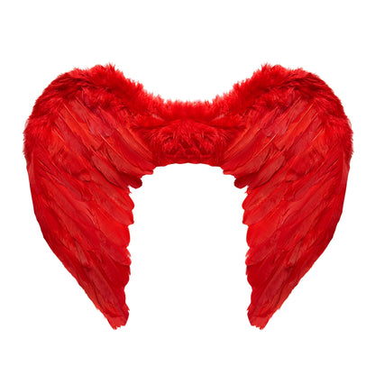 "ROTE FEDERFLÜGEL" 50x40 cm – Vorderansicht
