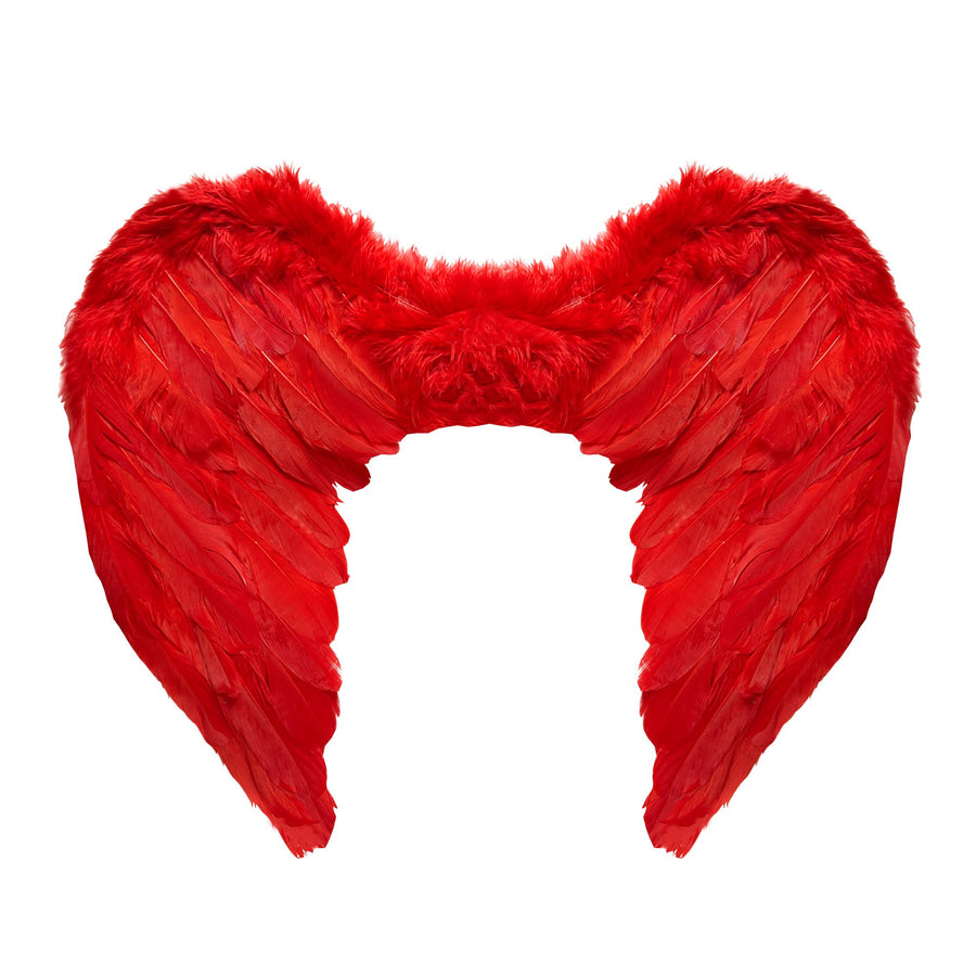 "ROTE FEDERFLÜGEL" 50x40 cm – Vorderansicht