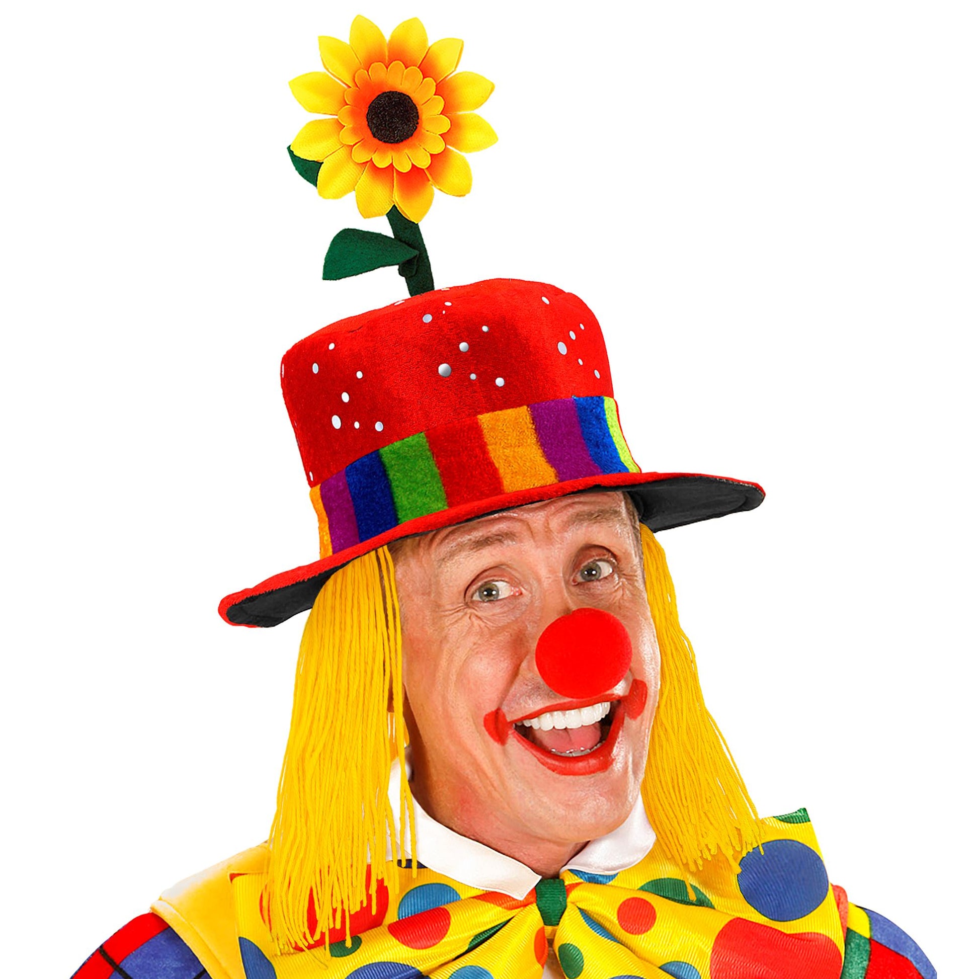 "ROTER CLOWNHUT MIT HAAREN UND SONNENBLUME" aus Pannesamt – Ansicht 3