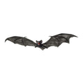 "SCHWARZE FLEDERMAUS" 74 cm – Vorderansicht