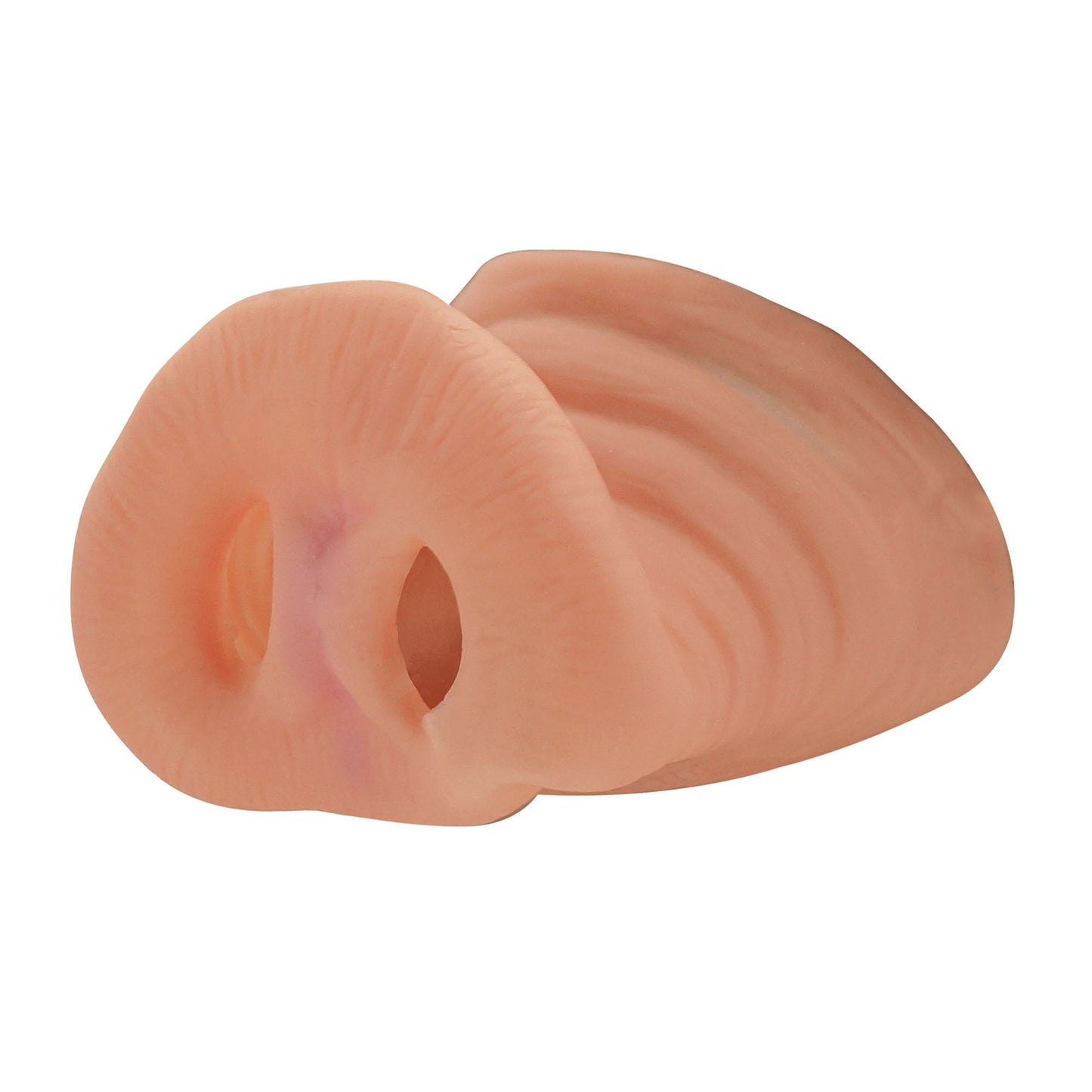 "SCHWEINSNASE" – Vorderansicht