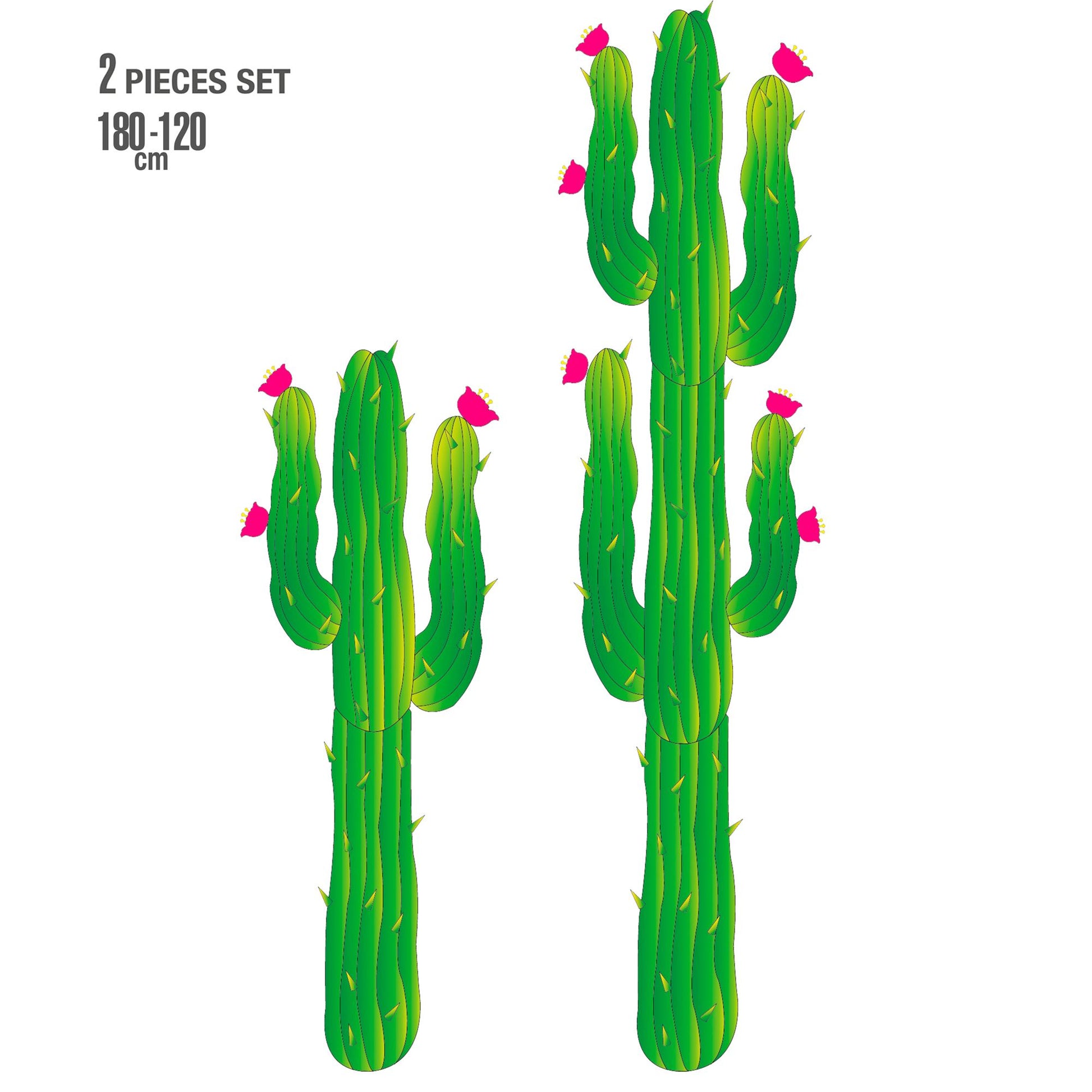 Set "2er KAKTUS" h 180 und 120 cm – Vorderansicht