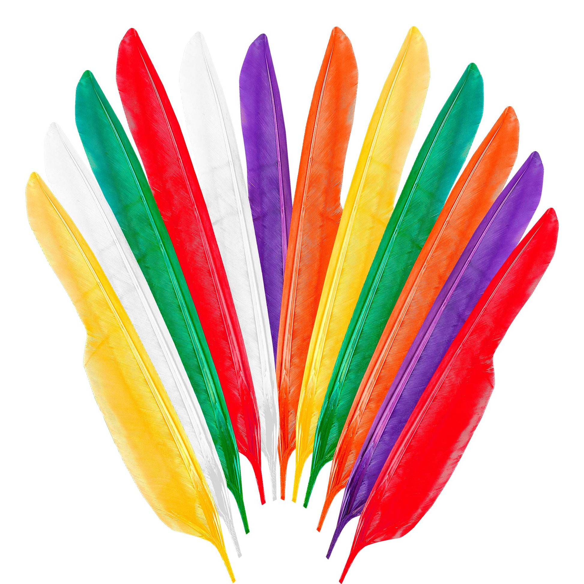 "Set von 12 INDIANERFEDERN" 35 cm - in 6 Farben sort – Vorderansicht