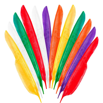 "Set von 12 INDIANERFEDERN" 35 cm - in 6 Farben sort – Vorderansicht