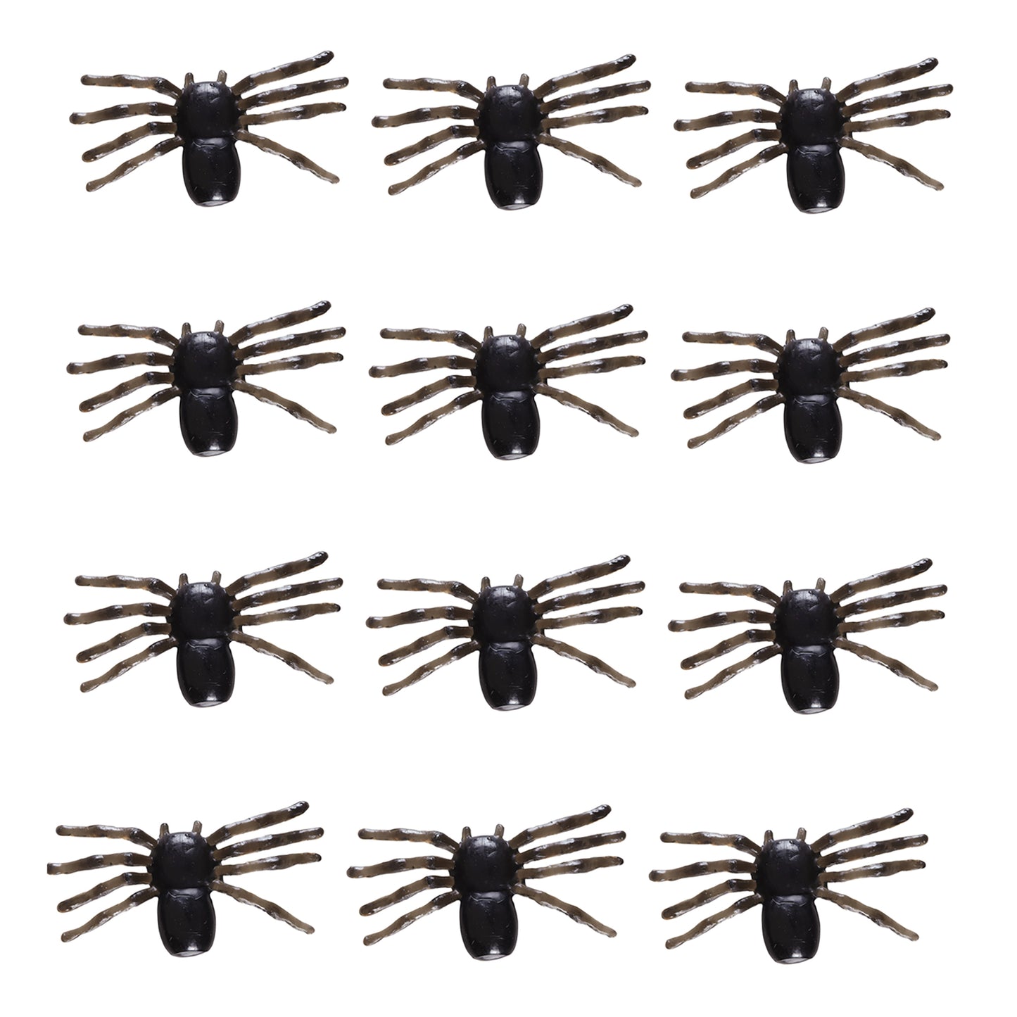 "Set von 12 SPINNEN" – Vorderansicht