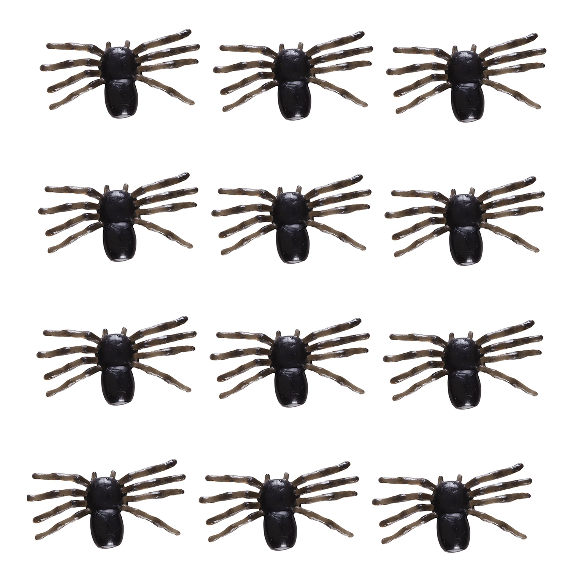 "Set von 12 SPINNEN" – Vorderansicht