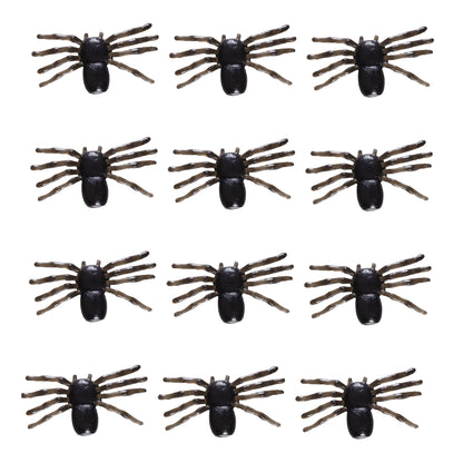 "Set von 12 SPINNEN" – Vorderansicht