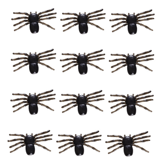 "Set von 12 SPINNEN" – Vorderansicht