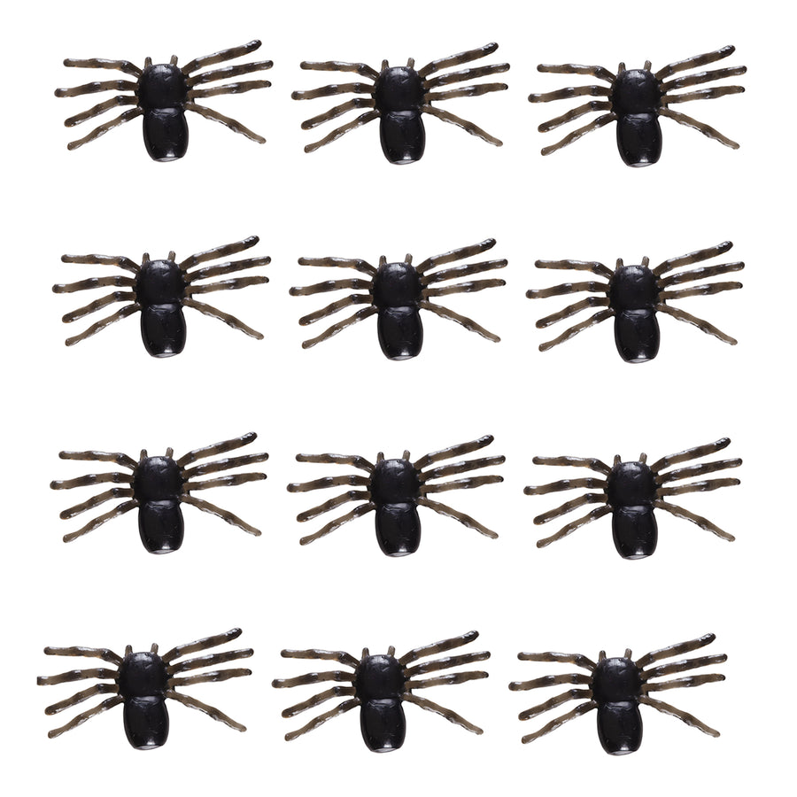 "Set von 12 SPINNEN" – Vorderansicht