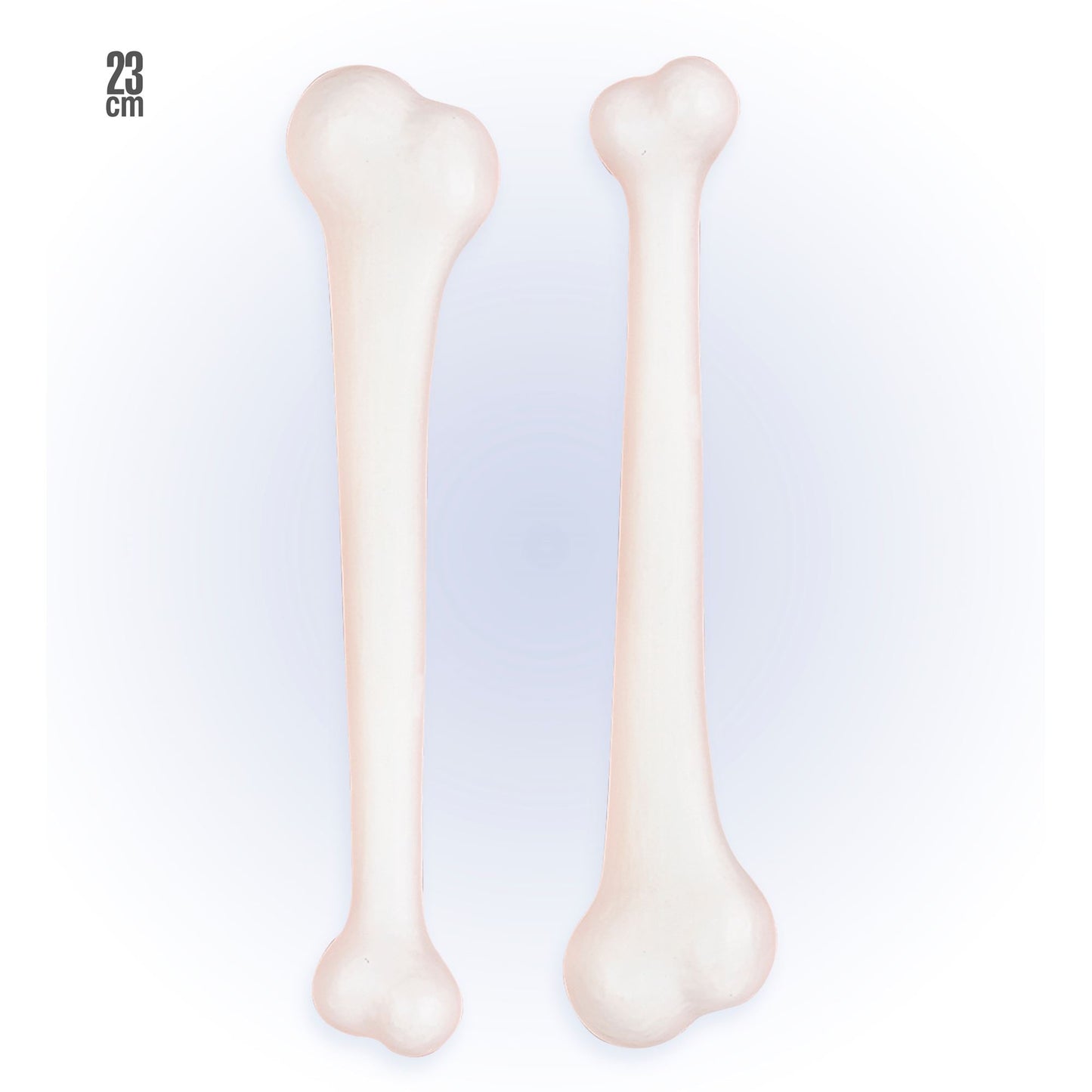 "Set von 2 KNOCHEN" 23 cm – Vorderansicht